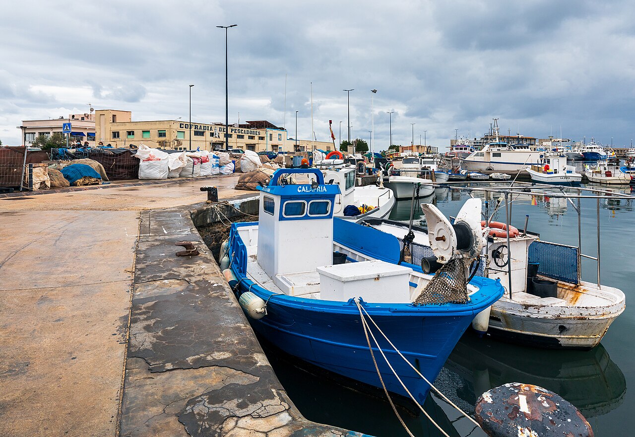 La UMH debatirá en La Vila Joiosa el futuro de la economía del mar, que suma más de 315.000 empleos en la Comunitat