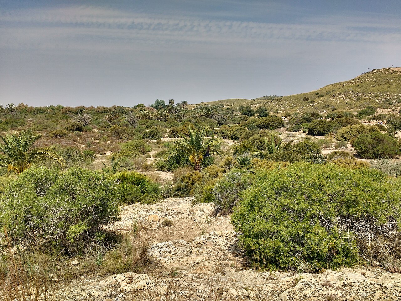 El tanque de tormentas de Arenales retuvo un millón de litros durante la DANA de octubre