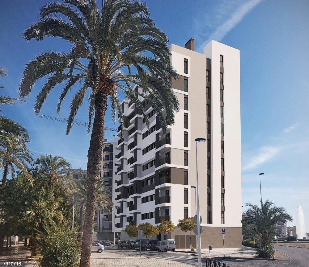 Elche incorpora 500.000 euros ya comprometidos a San Antón y aprueba 223.000 más para Cultura
