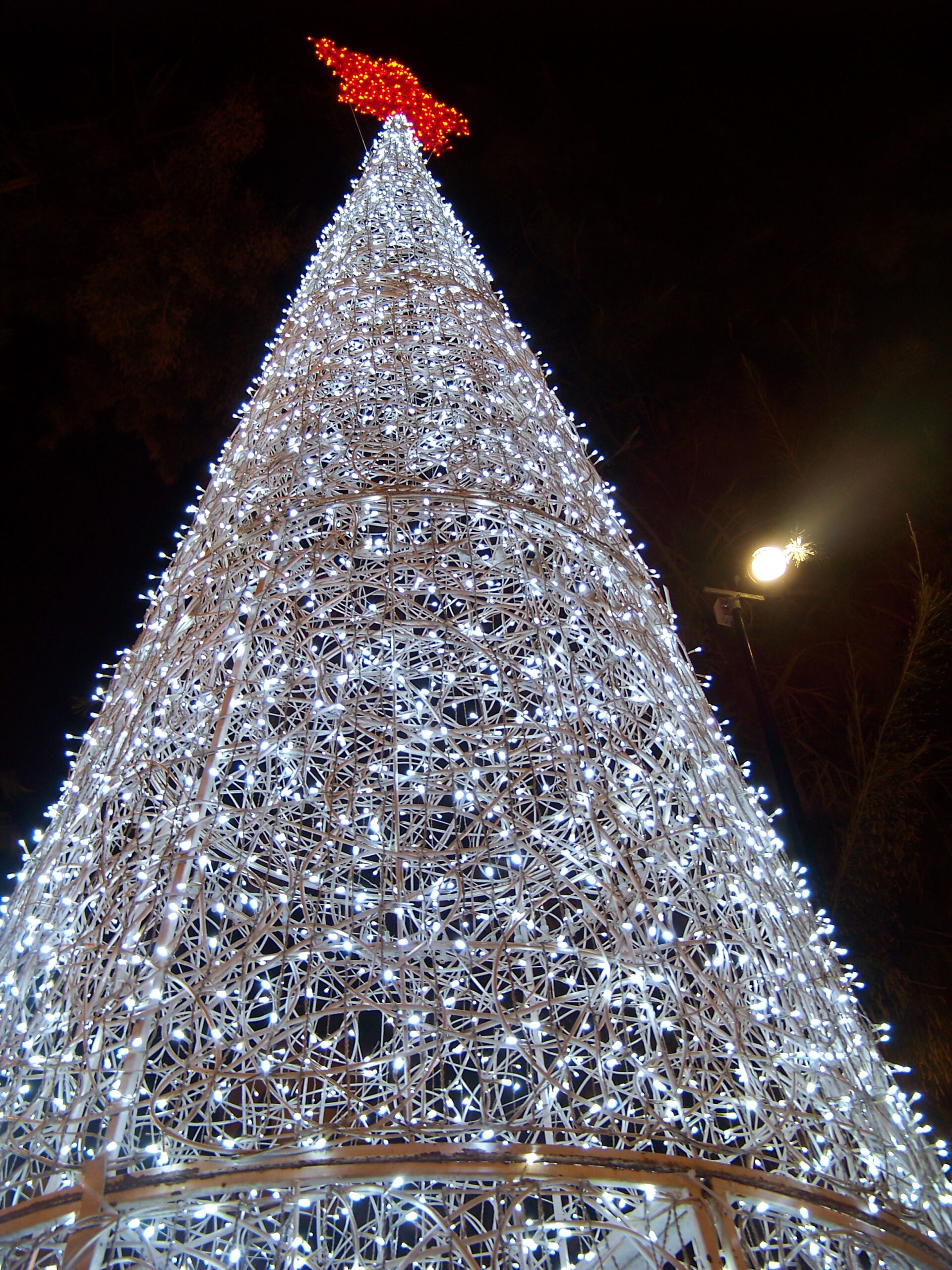 El belén de Elche abrirá el 5 de diciembre en la Glorieta y Miriam Quesada dará el pregón de Navidad