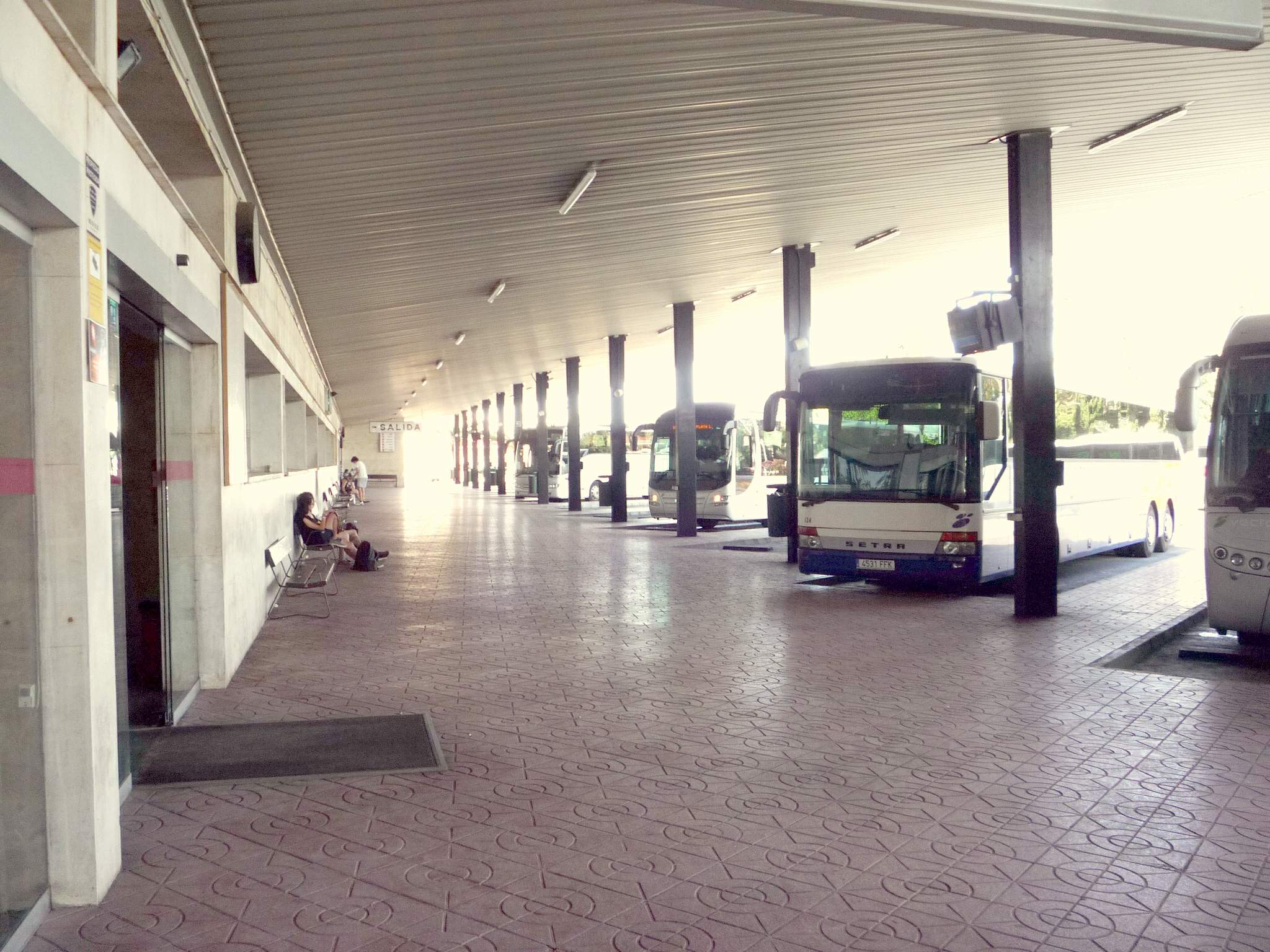 El Consell de la Joventut d’Elx denuncia viajes de pie y en el suelo en los autobuses a la UA y reclama refuerzos