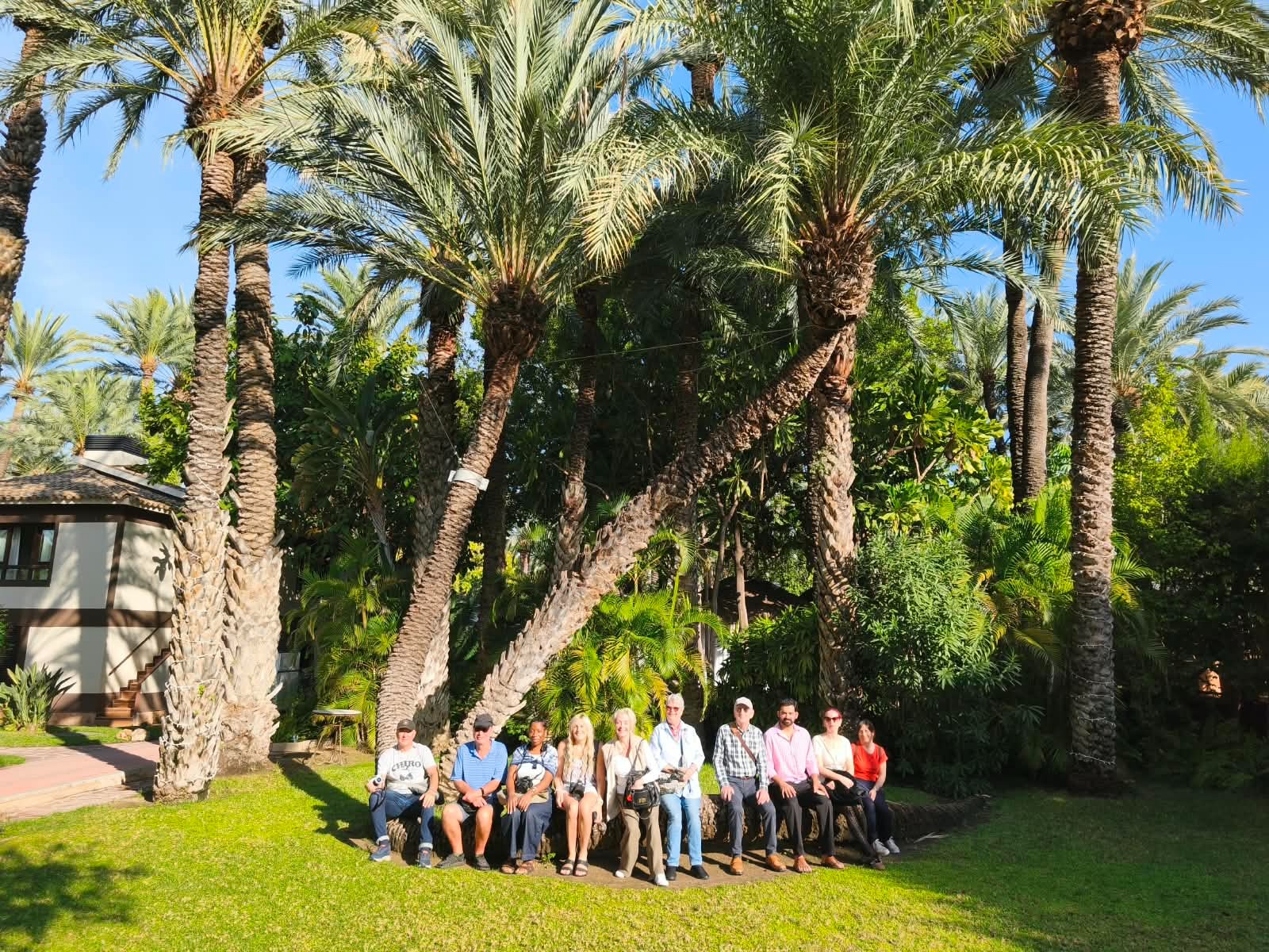 Periodistas británicos recorren Elche y conocen el Misteri en un viaje de promoción organizado por VisitElche