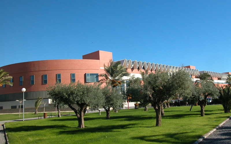 Elche fija los exámenes de 17 plazas municipales: albañilería en noviembre y administrativos en enero