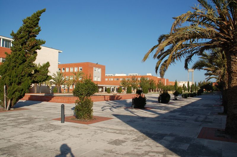 Dos profesores de la UMH presentan en Portugal un manual abierto para diseñar experiencias de realidad virtual