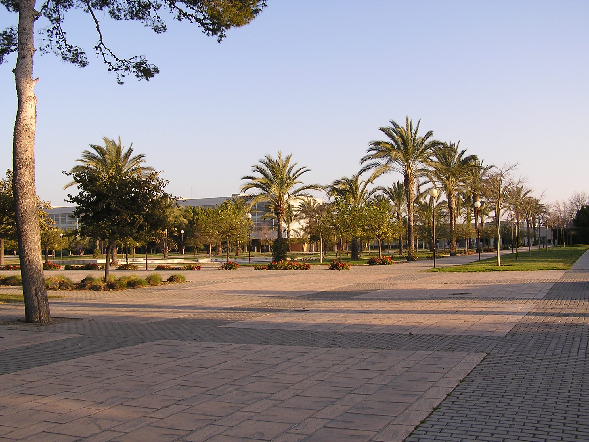 La Generalitat estudia reforzar el autobús Elche–Universidad de Alicante este curso, pero aún no hay nuevos horarios