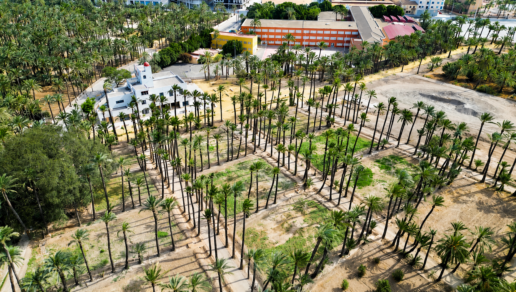 Elche prepara otro gran proyecto junto a un espacio protegido: hasta 500.000 euros para eventos al lado del Hort del Gat