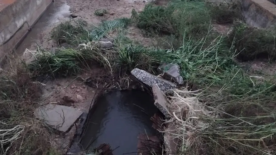Una nueva rotura en Riegos de Levante interrumpe el suministro de agua del Segura a los regadíos de Elche y Crevillent